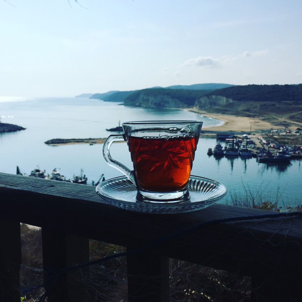 kiyikoyde-cay-keyfi
